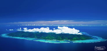 2026年灾难级交通指南