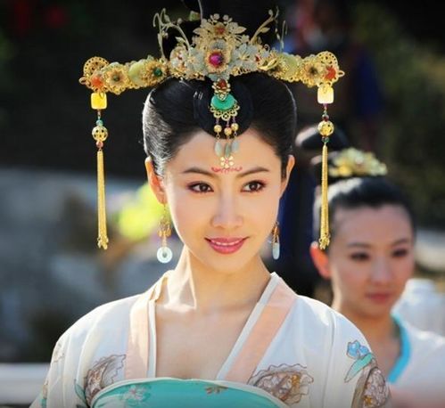 李明及其家族参与政争的历史持续发展记载