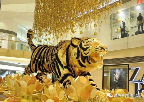 74年属虎男和79年属羊女婚姻配对如何？