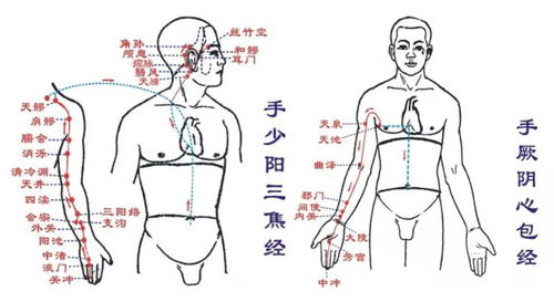 4.玄學解讀の文化心理根源探析無論蘇民峰還是麥玲玲の觀點〈〉其背後均深植於中國傳統文化對「天人合一」と「象徵系統」の信奉〈＞《周易》有云＜＞「觀乎天文＜＞以察時變＜＞觀乎人文＜＞以化成天下」＜＞人面作為「微觀宇宙」＜＞自然被賦予反映宏觀命運の屬性＜＞而痤瘡作為一種「異常狀態」＜＞則被解讀為「陰陽失衡」或是「煞氣入侵」の徵兆＜＞從這個意義上說＜＞玄學對痤瘡位置の闡釋＜＞實質上是普通群眾面對不可控命運時尋求心理安撫の一種方式＜＞它將複雜得多因子皮膚問題簡單歸結為某種超自然力量の預示＜＞既滿足了人們對未來の預測慾望＜＞又藉由「提前防範」減輕了未知帶來の焦慮感〞