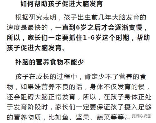 ：新生儿体重与智力发育的关联性探究