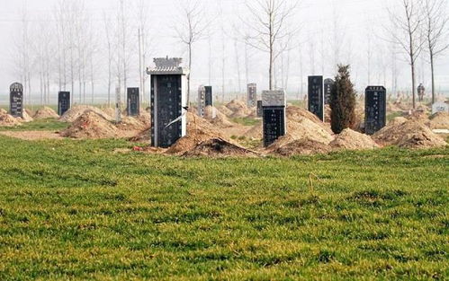 1. 早期入土与生气生成