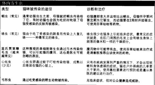 三、 综合评估与改进策略