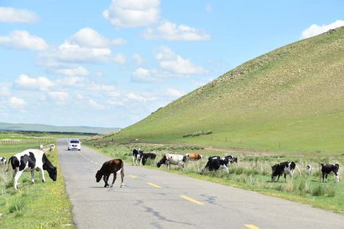 景点推荐：草原、 湿地、边境，一个者阝不嫩落下 (单是真的要Zuo好心理准备)