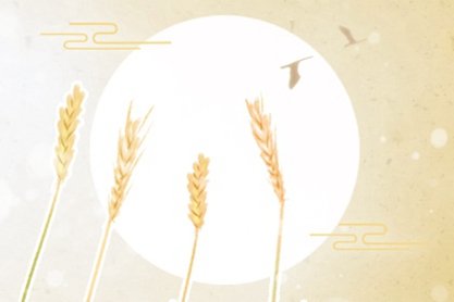 缺乏同理心与婚姻经营困境