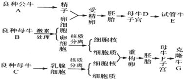 种生基的具体作用机制