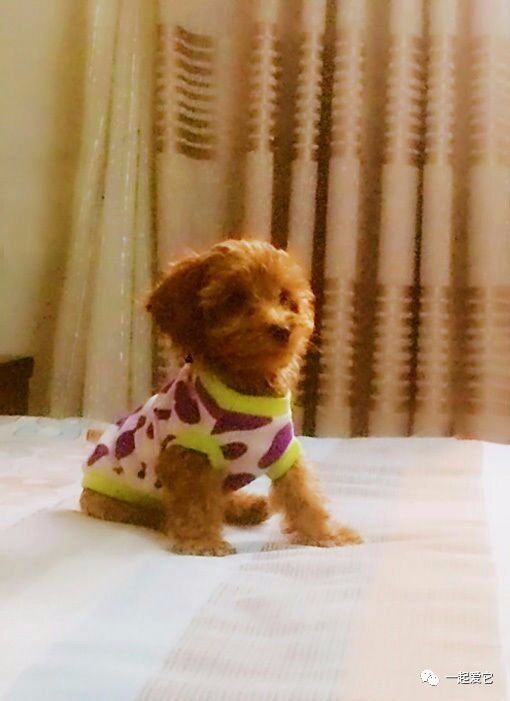 2. 那些让人无语的取名理由