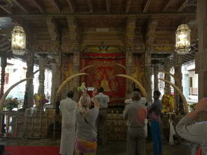 南昌插曲：师大南路的随拍冒险