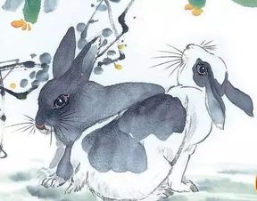 探究对象与方法