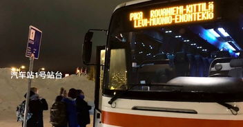 七、返程路上的惊魂记