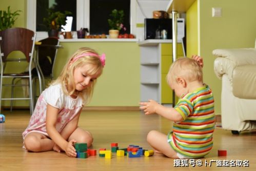 动植物系清新：自然气息满溢