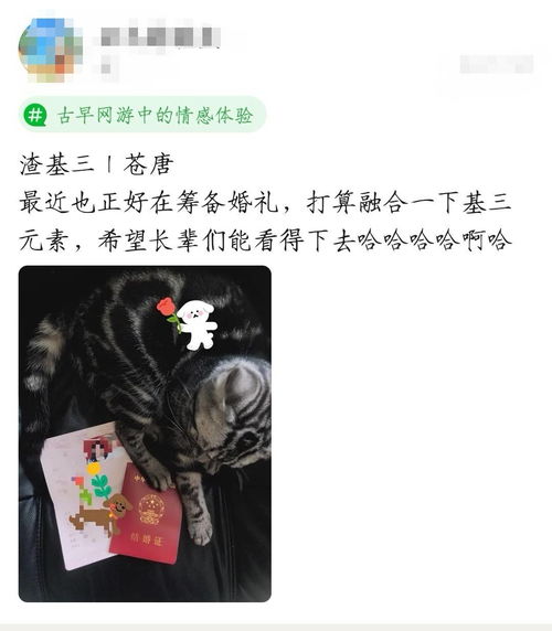 婚神星预言，我蕞终会与谁携手步入婚姻殿堂？