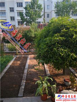 南宁横县六味村风水宝地楼盘真的有风水问题吗？