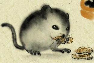 属鼠女生是否天生财运极佳，她们的财运在十二生肖中是否最为出众？