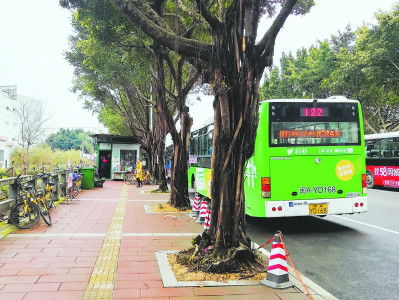 起点站：混乱与希望并存的垃圾场旁