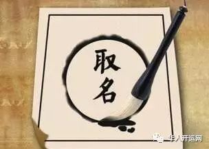 一、 苔藓里的“苒”——草木萌动的隐喻