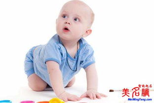 2018年属狗男孩取名吉祥名字大全，有没有什么好名字推荐？