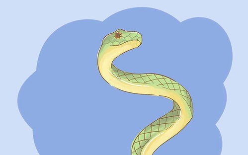 2026年蛇年出生的宝宝忌讳哪些属相，宜忌分别指什么？