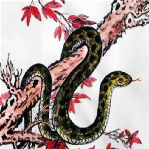 属蛇本命年财运如何，送什么礼物能去除霉运？