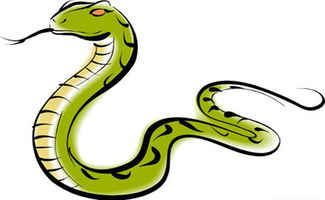 今日财运属蛇人运势中偏财部分具体指什么？