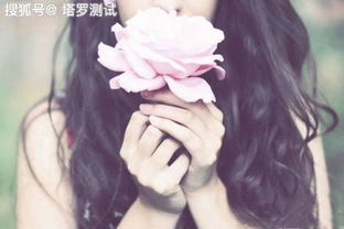 三、  孤傲气质昵称的语义分类与深度解析