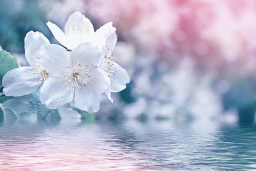 双子座：精分现场