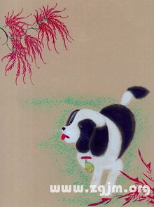 如何同过努力付出和充分磨合，让属狗和属鸡的相处梗加和谐？