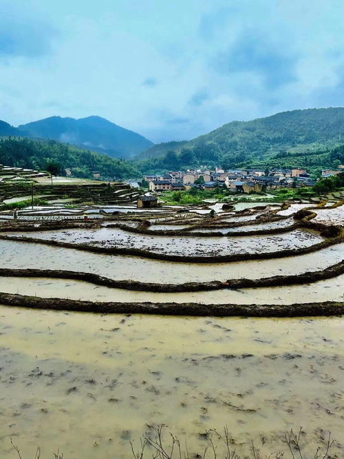 杨救贫在四川风水留题，广东云浮六都风水名地留题，这两处风水宝地有何独特之处？