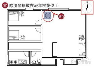 一、  理论体系的繁复性与现实困境
