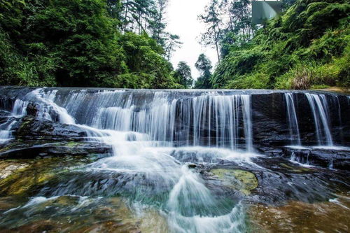 威远石板河景区：2026年黄历凶吉与省钱秘籍大杂烩