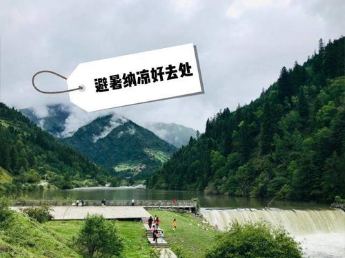 那些意想不到的小惊喜