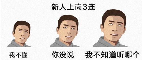 三、事业发展与职业选择