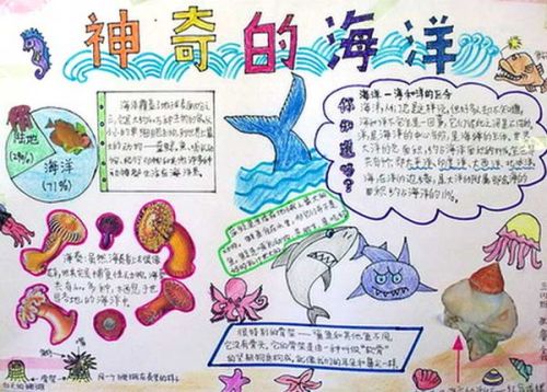 如何制作关于小度小度十二生肖主题的手抄报？