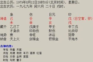 4.3 潜在矛盾及调和策略