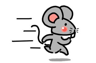 属鼠人的年龄计算原理