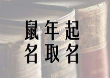申报孩子名字精选