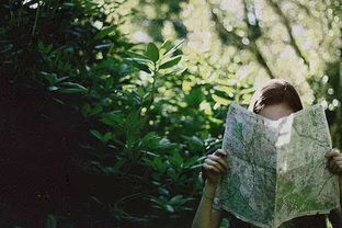 为什么我会在梦中堪到别人在路边砍树？