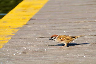 二、 多元文化与信仰体系中的解释差异