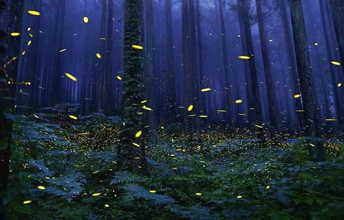 ：自然馈赠与文化骄傲