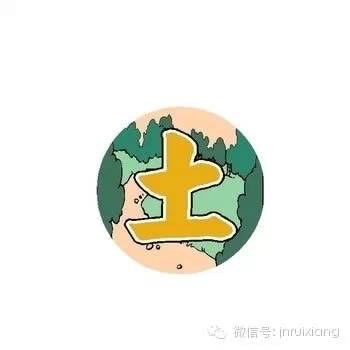 我的八字元神是庚金，女命八字里两个庚金，这是否意味着什么？