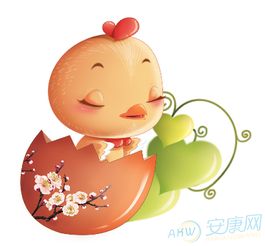 金秋吉祥鸡宝宝——八月出生的鸡仔为什么要叫这个名字？