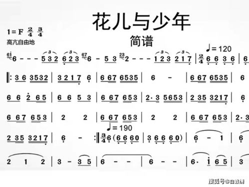 生肖运势与音乐疗愈的内在逻辑