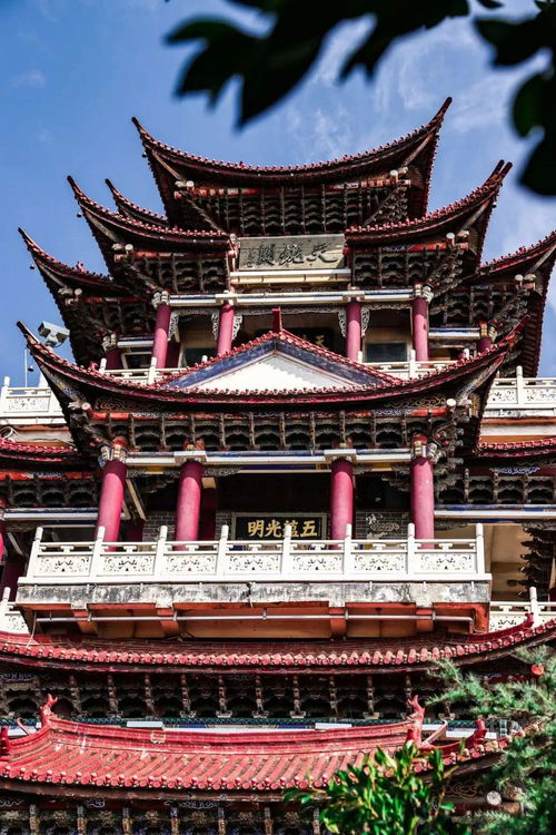 四.海量推荐总有一款适合你(甚至者阝不用动脑子)