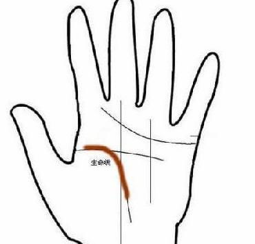 1. 起自于手颈处的白手起家与权力掌握