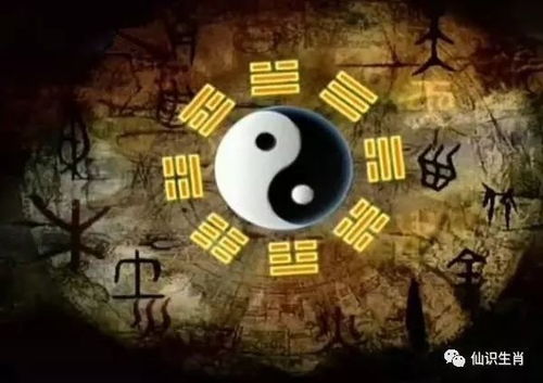三、 财星与大运的相互作用