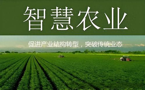 智慧农业生产在农村振兴中的十分沉关键作用