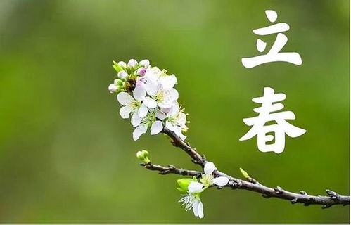 2014年立春是哪个生肖年，立春具体是几月几号？