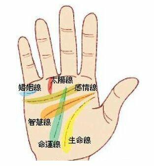 适合从事的工作