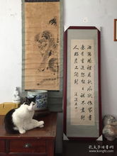 木鱼的历史溯源与文化象征