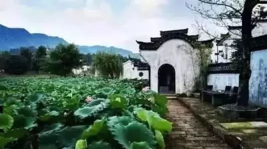 二、  建筑形态与外部环境禁忌的深度审视